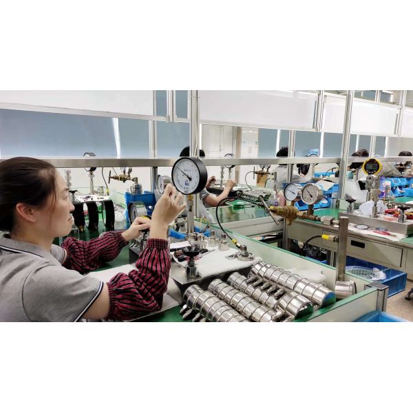 Zhejiang Shengdi Instrument Co., Ltd.