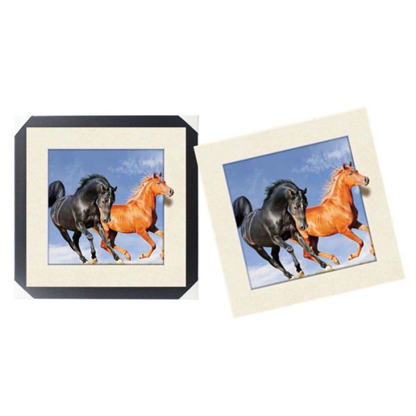 SGS 3d Lenticular Picture With PS Frame 0.6mm Pet Thickness 5d Photos