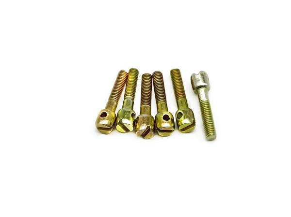 Stainless Steel Silver Electric Meter Anti-Tamper Installation Screws Good Sealing And Corrosion Resistance