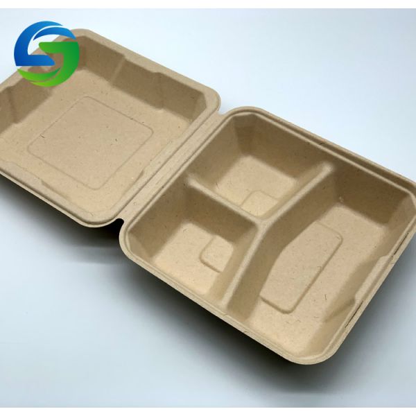 9 Inch 3 Compartment Biodegradable Takeout Food Containers