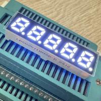 5 dígitos 7 mm 7 segmentos de pantalla LED Anodo común Ultra Brillante Blanco para el convertidor de frecuencia