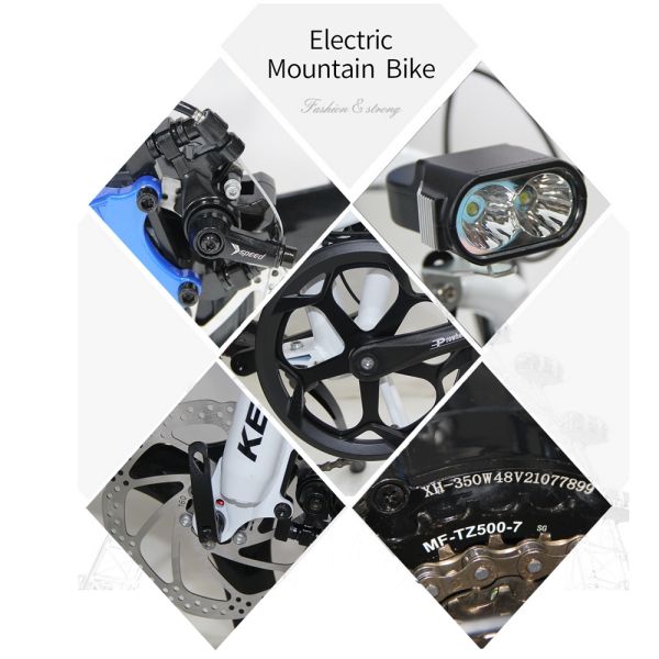 EU Market 20 Inch Folding Electric Bike with 36V 250W Motor and 10AH Lithium Battery