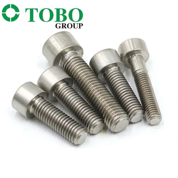 ANSI B 16.9 Thread Type Stainless Steel Metal Screws for Corrosion-Resistant Fastening