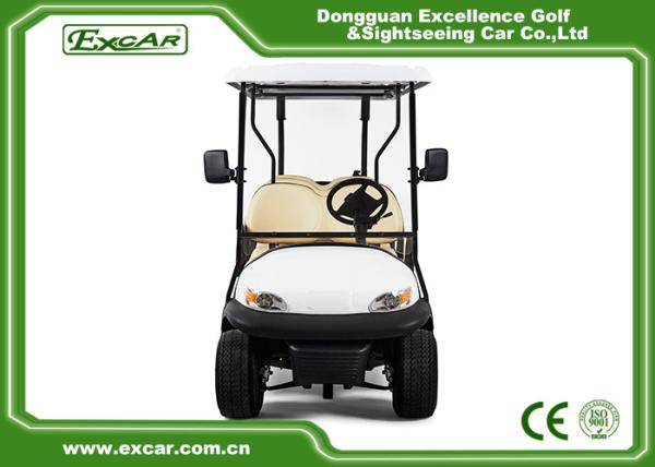 Elegant 6 Person Electric Golf Buggy