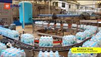 Palletificateur de boissons Solutions de palettisation automatisées efficaces et fiables