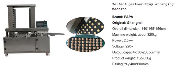 Papa Machine P308 Cracker Production Line – 3 Rows Output in One Line