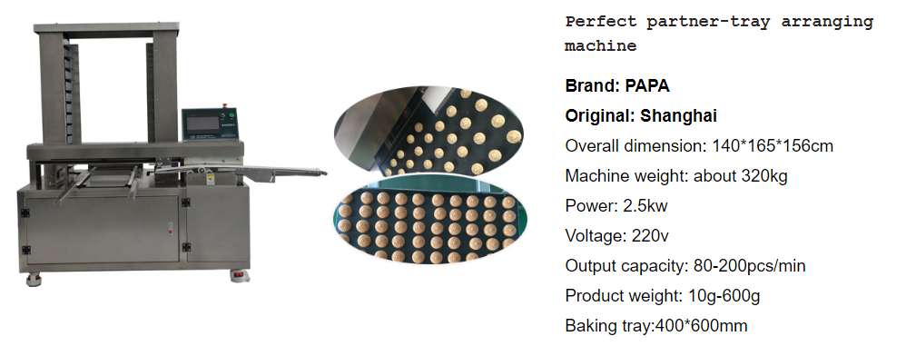 Papa Machine P308 Cracker Production Line – 3 Rows Output in One Line