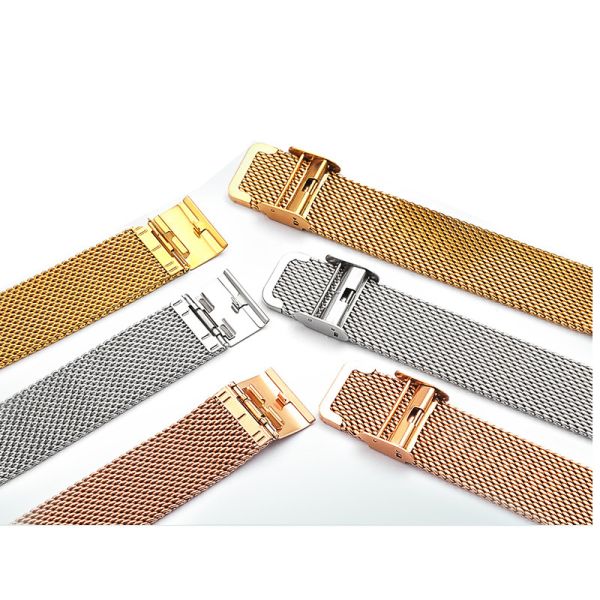 PVD Stainless Steel Gold Watch Band · RoHS Compliant