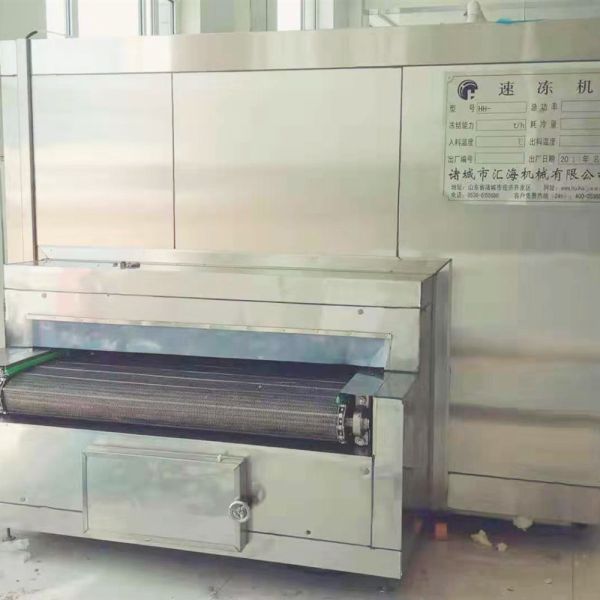 100kg Industrial Tunnel Liquid Nitrogen Food Freezer