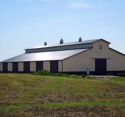 Edificio de acero moderno de gran envergadura Taller industrial Casa de aves