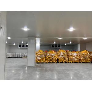 Frigorífico de armazenamento a frio de aço inoxidável Bitzer com sistema de expansão direta