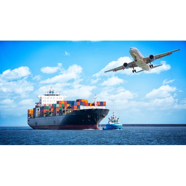 Guangdong Aikeli Intelligent Technology Co., Ltd.