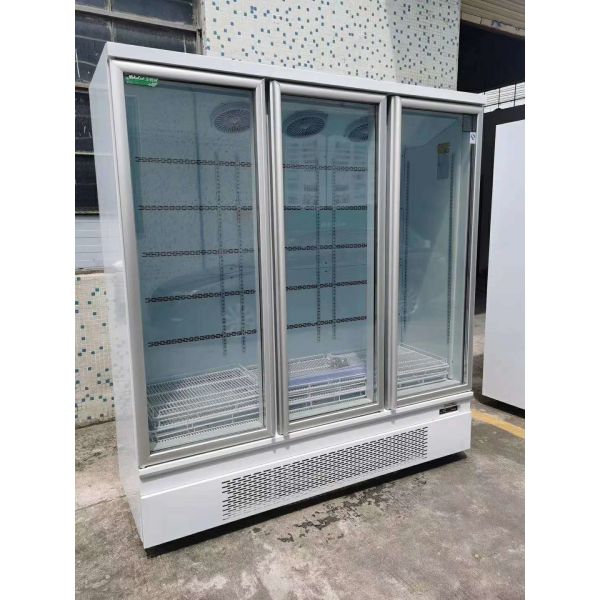 Automatic Defrosting Vertical Freezer For Convenient Shop