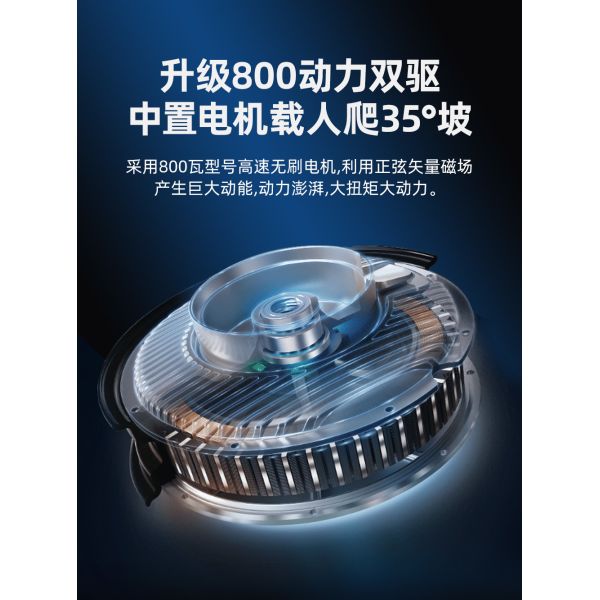 ПЕТ ТРИЦИКЛ ЕЛЕКТРИЧЕСКИЙ МИНИ КОМЕНТ СОБРАТЬ ДЕТЕЙ МОЛОДЫЕ ЖЕНЩИНЫ С ДЕТЕМИ ПОШИТЕЛЬСКИЙ ЛИТИЙСКИЙ ЭЛЕКТРИЧЕСКИЙ БАТЕРИЧЕСКИЙ МАШИНА