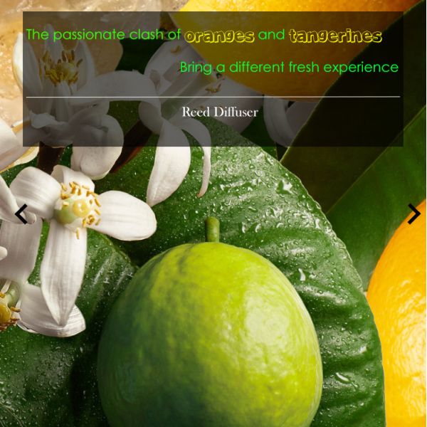 Wholesale home decor natural glass bottle essential oil aroma reed diffuser With Rattan Sticks