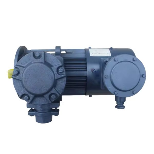 Flameproof 5.5~11kW 750rpm Three-Phase Asynchronous Motor with Variable Frequency Drive for Industrial Applications