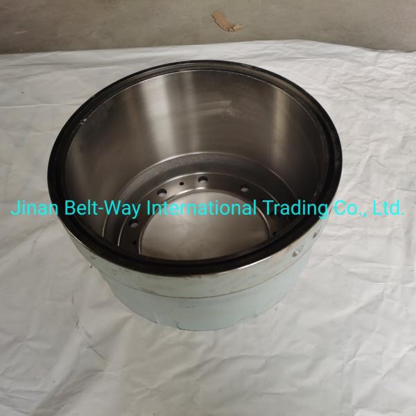 Partes do sistema elétrico Bateria para Sinotruk HOWO Truck Brake Drum Wg9231342006 Durável