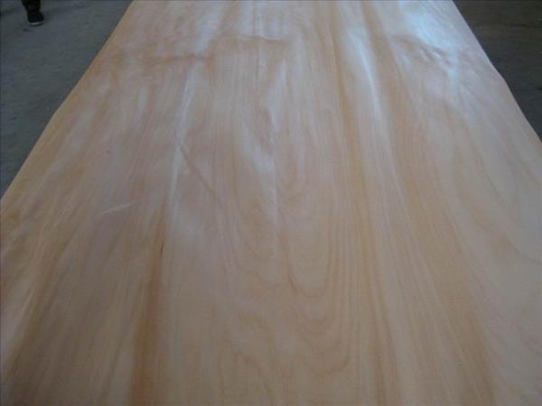 4’ x 8’ Rotary Agathis Veneer Sheet For Furniture, Door