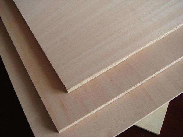 Eucalyptus Commercial Grade Plywood With Okoume Faced Standard Size
