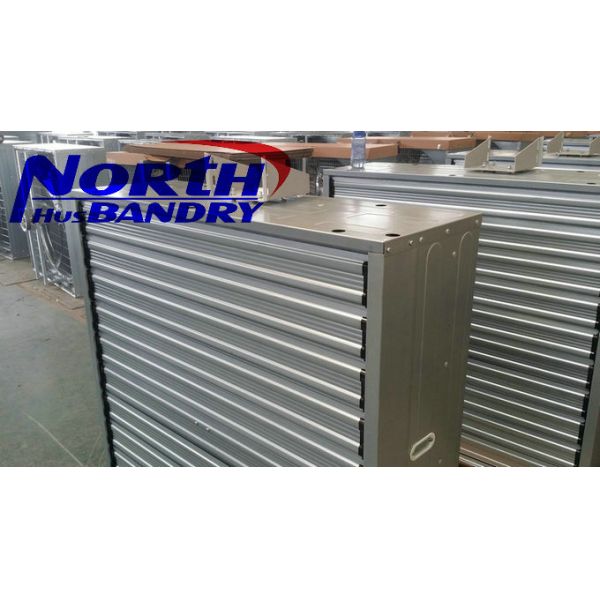 injection of poultry