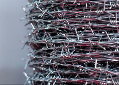14 gauge Double Strand Reverse Twist Barbed Wire Coils de aço inoxidável