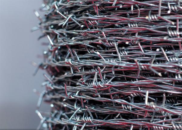 14 gauge Double Strand Reverse Twist Barbed Wire Coils de aço inoxidável