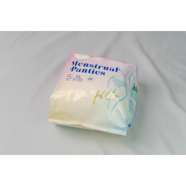 Odor Resistant Overnight Panties Non Woven Nighttime Period Panties Comfortable