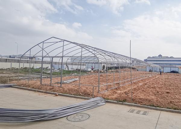150Micron Single Span Greenhouse Customizable Plastic Film Greenhouse