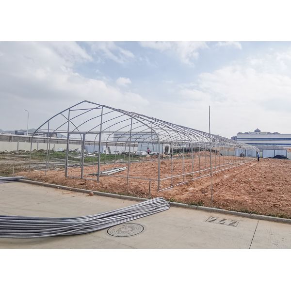 150Micron Single Span Greenhouse Customizable Plastic Film Greenhouse