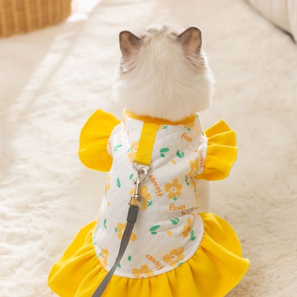 Glow In The Dark Pet Wear Clothing Button Free Design Summer Cat Clothes