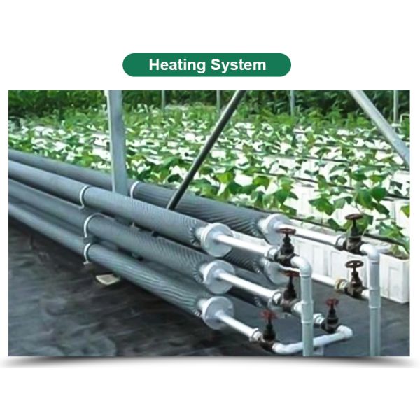 Plastic Shed Winter Tomato Greenhouse for Crops Width Defined by Area