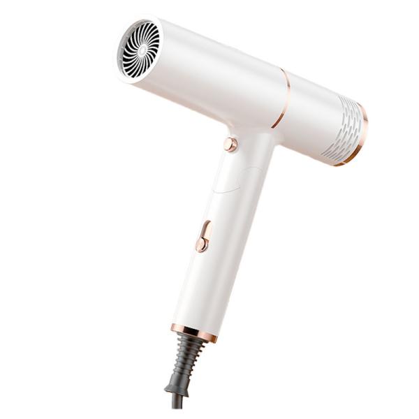 Multifunctional Salon Professional Folding Travel Hair Dryer With Worldwide Plugs