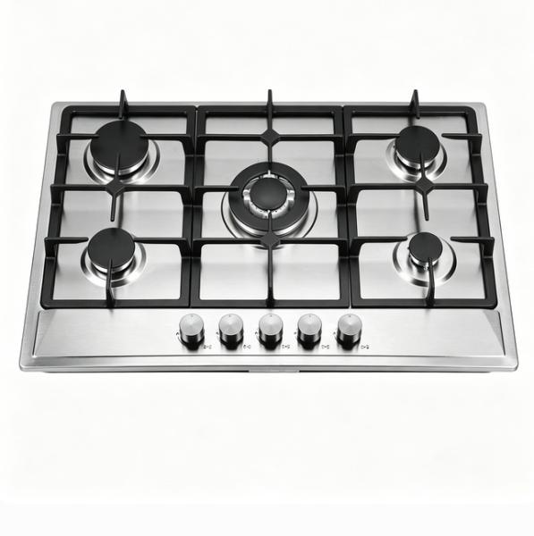 5 Burner Built in Gas Stove With Automatic Ignition Battery Power ODM OEM Factory