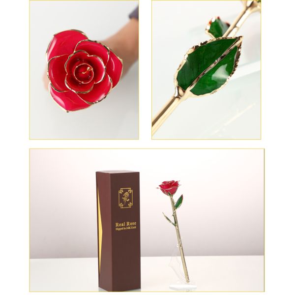 Wholesale  Gold Real Rose 24k Gold Plated Real Natural Rose for Valentine's Day and Christmas Gifts