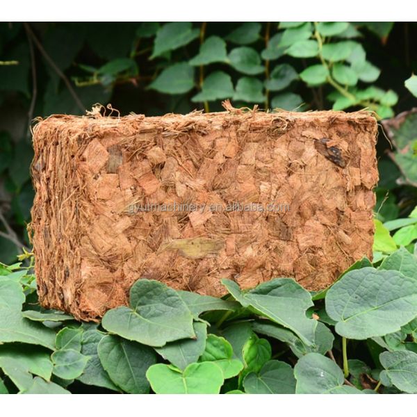 Indonésia Mercado Coco Turfa Máquina de Fabricação de tijolos Cold PRESS 650g 5kg para o Cliente