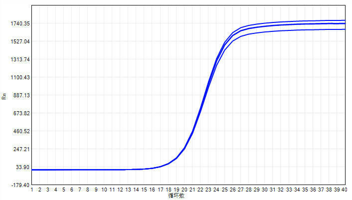 Сильная зеленая смесь QPCR с высоким уровнем ROX+ для ABI Real Time PCR