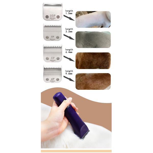 Battery Powered Pet Hair Trimmer Clippers Multiple Heads Grooming Kit for Small Pets