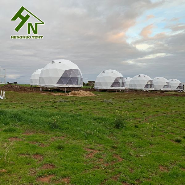 Large Camping Home Backyard Geodesic Dome Tent Kits Glamping Garden House