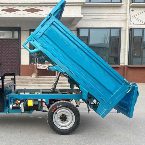 Three Wheeled Electric Tricycle With Canopy 30-50Km/H 90KM
