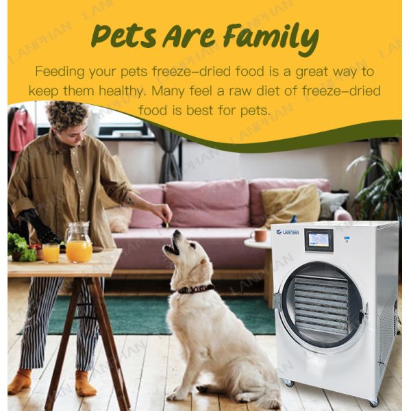 Equipement de séchoir à gel Fruits bonbons Viande séchoir à gel 220V