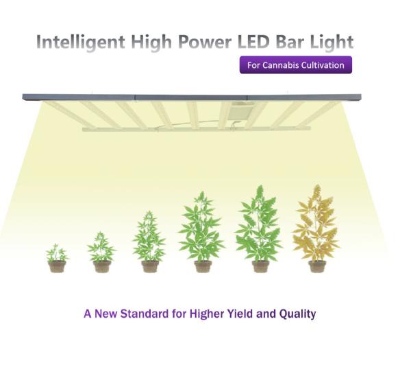 Vegetable 800 Watt 1000W LED Grow Lights 2.8umol/J Dimming Control