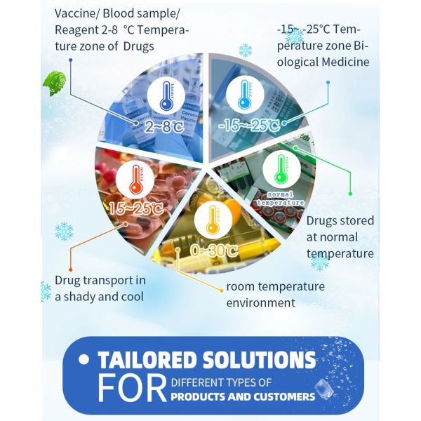 CE ISO Medical Travel Cool Box 6L Diabetic Coolers For Insulin