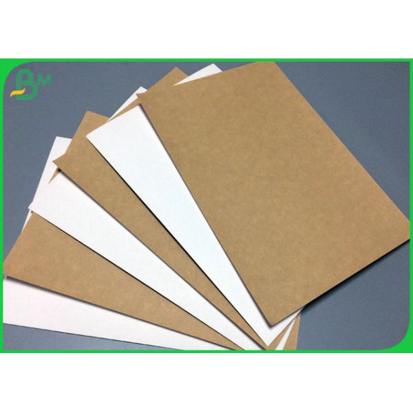 200gram to 365gram 1 side White Kraft Liner coated Board 31inch 35inch