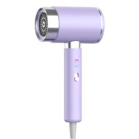 Secador de cabelo de salão profissional de baixo ruído com 3 níveis de calor e 2400W de potência