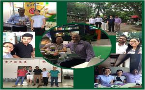 Lansu Packaging Co.,Ltd