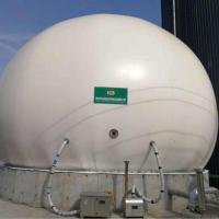 El bio tenedor de gas de Anaerobiosis PDFE transportó en contenedores la planta del biogás flexible