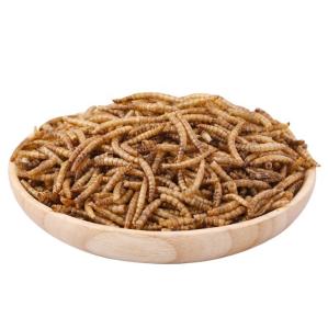 Original Taste dried Tenebrio molitor/dried mealworms/bread worms