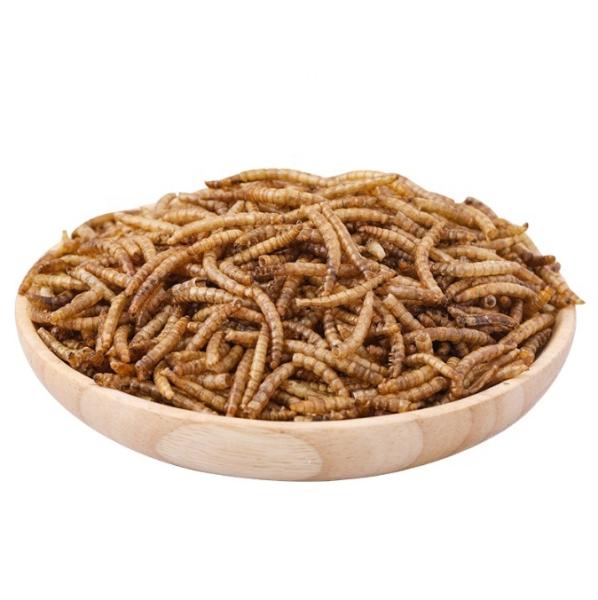 Original Taste dried Tenebrio molitor/dried mealworms/bread worms
