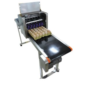 Food Inkjet Printer