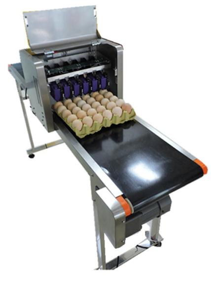 Poultry Egg Date Coding Machine Automatically Updated With LCD Touching Screen